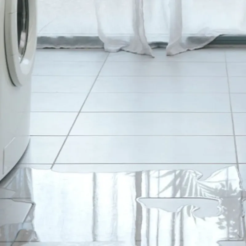 Appliance Leak Cleanup in Carrollton, IL