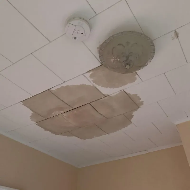 Ceiling Water Damage Repair in Carrollton, IL