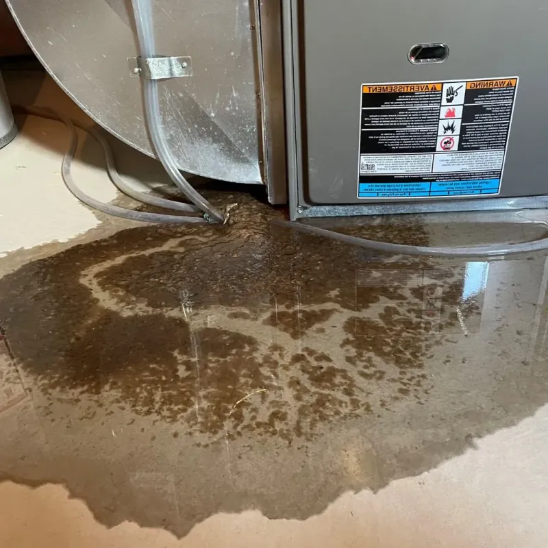 Pipe Burst and Leak Restoration in Carrollton, IL