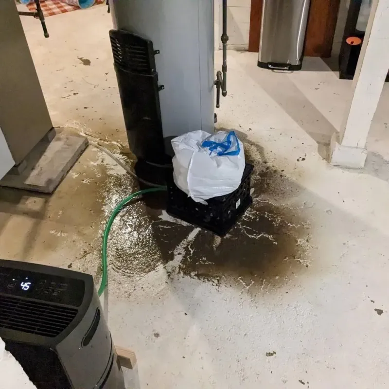 Sewage Backup Cleanup Service in Carrollton, IL